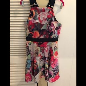 Ted Baker Skater Dress Size 4 Large